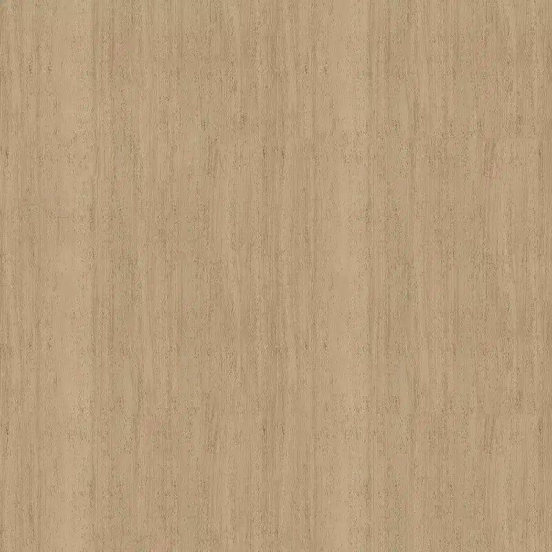 Sedia da pranzo con braccioli in legno Crema e Naturale, Imbottita, Struttura in legno di gomma – Set da 2